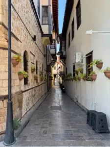 Фотография Вертикаль 4