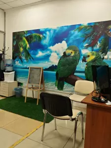 Фотография Онлайн турист 4