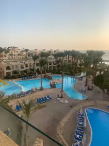 Фотография Розовый слон 0