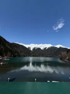 Фотография Розовый слон 1